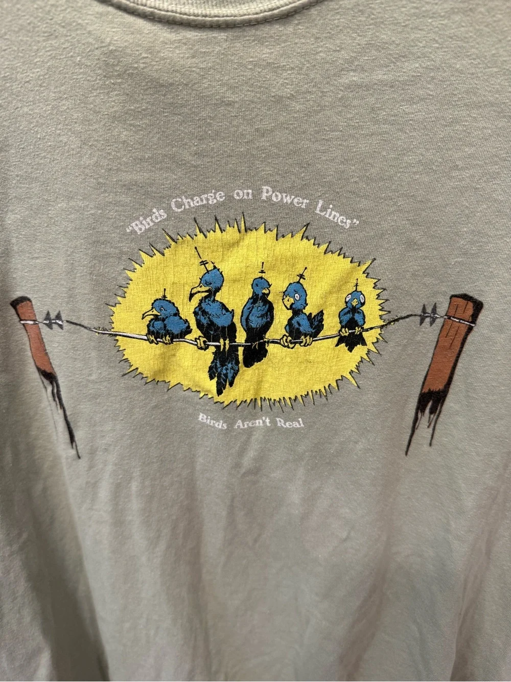 100% cotton birds aren’t real “birds charge on power lines” graphic tshirt - Picture 2 of 11